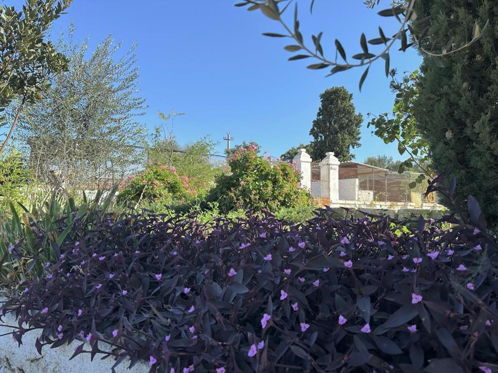 Masseria Strada Agriturismo ジノーザ エクステリア 写真