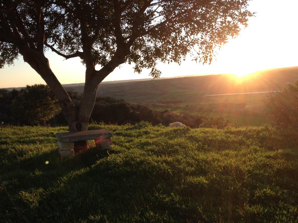 Masseria Strada Agriturismo ジノーザ エクステリア 写真